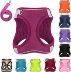 Dog Harness with Leash Set, No-Pull Step-in Reflective Pet Harness with 1 Leash Clips, Adjustable Soft Padded Easy Walk Dog Vest for Small Medium Large Dogs, Cats(Rose Red, XSmall)