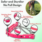 Martingale Collar for Dogs, Biothane, Stainless Steel Hardware, No Pull, Made in The USA, Professional Grade, XXS, Pink