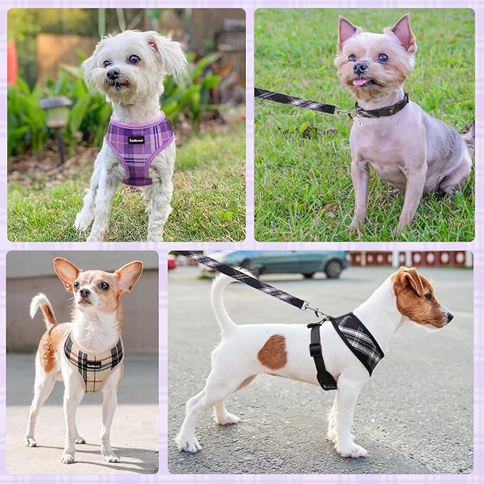 SCENEREAL No Pull Dog Harness Collar and Leash Set Small Medium Sized Dog, Soft Mesh Puppy Harnesses, No Chock Plaid Adjustable Pet Vest for Outdoor Walking Training and Running, Purple XS