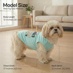 Parisian Pet Dog Shirt – 100% Cotton Shirts for Medium Dogs – Blue Sleeveless Puppy Clothes – Lightweight and Breathable Dog Apparel – Family is Everything Dogs Clothes - Stretchy Pet T Shirts