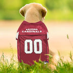 Pets First NFL Arizona Cardinals Dog Jersey, Size Small, Football Shirt Costume for Pet, Dog Sports T-Shirt, NFL Team Clothing for Cats, Licensed Pet Apparel Available in 7 Sizes and 32 Teams