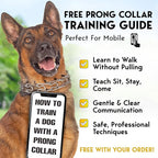PetJett Prong Collar for Dogs - Choke Collar for Dogs, Pinch Collar for Dog Adjustable No Pull Safety Dog Training Collar for Small Medium Large Breed - Durable Stainless Steel Metal Choker Chain