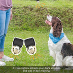 SCENEREAL Large Bell for Dog Collar, 2 Pack 1.5" Extra Loud Collar Bells for Cats and Dogs Training, Hiking, Walking, Hunting, Pet Tracker, Pet Bell for Save Wildlife and Birds Gold