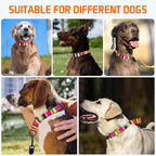 Kazazoo Martingale Collar for Dogs with Quick Release Buckle Adjustable Soft Durable Dog Collar for Small Medium Large No Pull Training Dog Collars-Rainbow S
