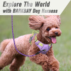 BARKBAY No Pull Dog Harness Front Clip Heavy Duty Reflective Easy Control Handle for Large Dog Walking(Violet Purple & Sunlight,S)