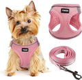 Dog Harness for Small Dogs and Leash Set, Honeycomb Grid, Reflective Lightweight Harness & Anti-Twist Pet Lead (Multi Color, Size: XS-S-M) (M, Pink)