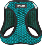 Best Pet Supplies Voyager Step-in Air Harness - All Weather Mesh, Reflective, No Pull Harness for Dogs, Cats - Secure with Hook & Loop Fastener, Buckle, Double D-Rings - Turqupise 2-Tone, S