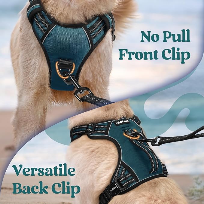 rabbitgoo Dog Harness Small Sized Dog, No Pull Pet Harness with Soft Padded Handle, Adjustable Reflective Vest with 3 Buckles, Easy Walking Harness with 2 Leash Clips, Green, S