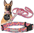 Lucky Love Dog - Easy Click Buckle Dog Collar with Leash Set Combo, Durable & Comfortable for Male & Female Dogs, Pet Collar for Large Dogs, Secure Fit - Floral Rosie Combo, Large