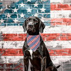 ADOGGYGO 4 Pack American Flag Dog Bandanas, Red Blue USA Flag Star Pet Scarf Bib, Pet 4th of July Bandanas Costume Accessories for Extra Large Dogs (X-Large)