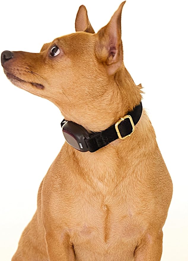 Non-Shock Luxury Bark Collar-Adjustable Fit, No Shock for Small,Medium,Large Dogs, Advanced Technology with Remote, Automatic Bark Collar, Rechargeable, Dog Training, Anti-Barking, Soft Velvet,Black