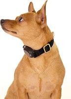 Non-Shock Luxury Bark Collar-Adjustable Fit, No Shock for Small,Medium,Large Dogs, Advanced Technology with Remote, Automatic Bark Collar, Rechargeable, Dog Training, Anti-Barking, Soft Velvet,Black
