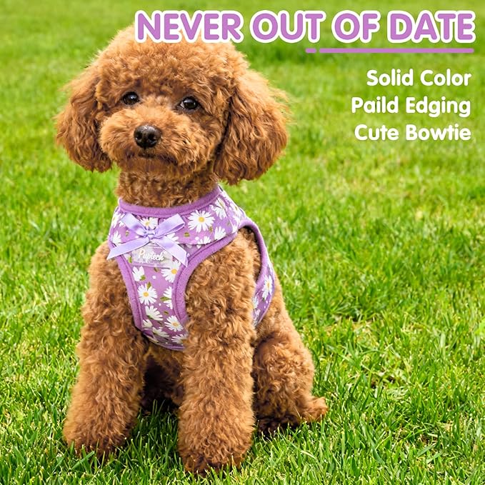PUPTECK Dog Harness for Puppy and Small Sized Dogs, Step-in No Pull Soft Mesh Vest Harness for Cats Small Pets Walking, Purple Dasiy, New XXS