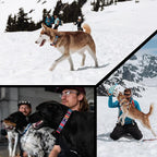 Wolfgang Heavy Duty, Adjustable Dog Collar with Quick Release Nylon Buckle for Walking & Training, Quetzal Print, Medium