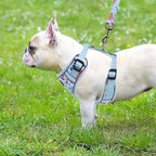 PUPTECK Small Dog Harness and Leash Set, No Pull Adjustable Puppy Cat Harness, Reflective Soft Mesh Pet Vest Small Sized, American Style, M