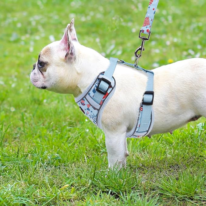PUPTECK Small Dog Harness and Leash Set, No Pull Adjustable Puppy Cat Harness, Reflective Soft Mesh Pet Vest Small Sized, American Style, M