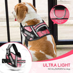 Service Dog Vest Harness and Leash Set, Animire in Training Dog Harness with 10 Dog Patches, Reflective Dog Leash with Soft Padded Handle for Small, Medium, Large, and Extra-Large Dogs (Rosy,S)