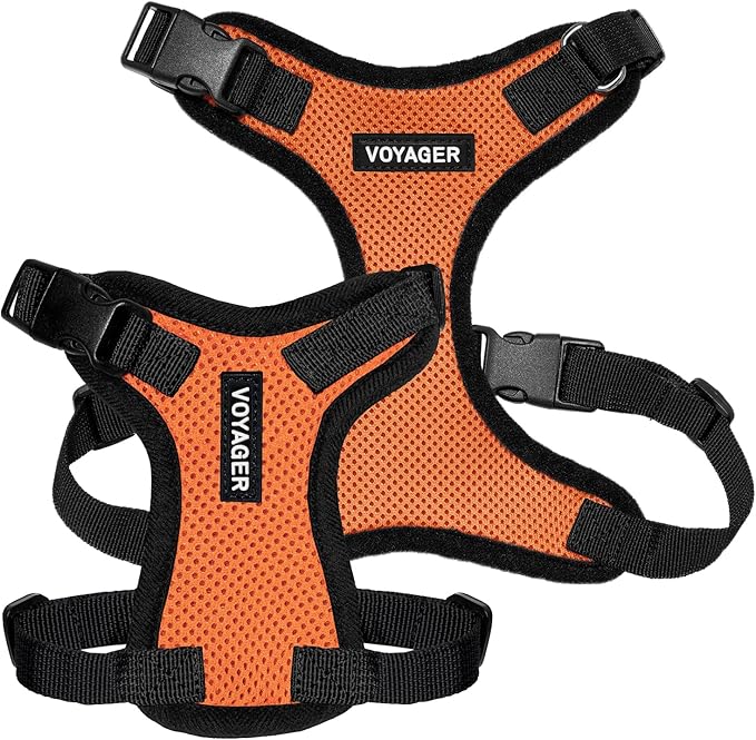 Voyager Step-in Pet Harness - All Weather Mesh, Adjustable Step in Harness for Cats and Dogs by Best Pet Supplies - Orange/Black Trim, L