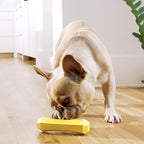 Playology Dog Toys | Durable Squeaky Chew Stick for Dogs | Medium Chicken Scented Toy - Easy to Clean and Made from Non Toxic Materials