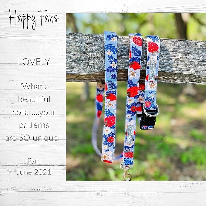 Lucky Love Dog Martingale Collar and Leash Set, Premium Fun Girl No Slip Collars, Strawberry Martingale Dog Collar and Leash Set, Great for Whippets, Greyhounds, and More (Sweet Berry, Small - Combo)