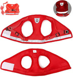 FEimaX Dog Harness and Leash Set for Walking, Soft Mesh Adjustable Easy Control Lightweight Cat Vest Harnesses with Reflective Strips, Escape Proof Small Dogs Cats Vests (Red, Medium)