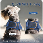 Eagloo Small Dog Harness and Leash Set, Step in Puppy Vest with Breathable Soft Mesh, Walking Reflective Pet Harness for Extra Small Dogs, Navy Blue, XXS