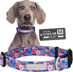 Lucky Love Dog - Adjustable Dog Collar with Easy Click Buckle for Medium Dogs, Durable, & Comfortable Collar for Male & Female Dogs, Pet Collar for Puppies & Adult Dogs - Zuzu, Medium