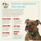 Country Brook Petz - Martingale Dog Collar - Heavy-Duty Training Collar with No Buckle - Service Dog Collar for All Pups - 10+ Cool Colors (Green, 3/8 Inch, 3XS)