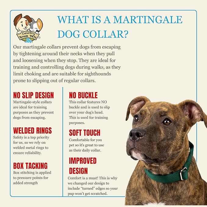 Country Brook Petz - Martingale Dog Collar - Heavy-Duty Training Collar with No Buckle - Service Dog Collar for All Pups - 10+ Cool Colors (Green, 1 Inch, Large)