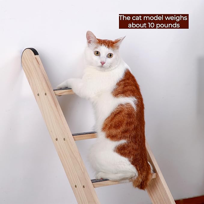 SHENGOCASE Solid Wood Wall Leaning Cat Ladder for Indoor Cats and Small Medium Dog, Stair Step for Window Bed, Wall Climbing Furniture (47.2")