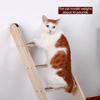 SHENGOCASE Solid Wood Wall Leaning Cat Ladder for Indoor Cats and Small Medium Dog, Stair Step for Window Bed, Wall Climbing Furniture (47.2")