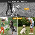 Prong Training Collar with Comfort Tips and Quick Release Snap Buckle - Dog Choke Pinch Collar with Nylon Cover - Classic Collar and Leash