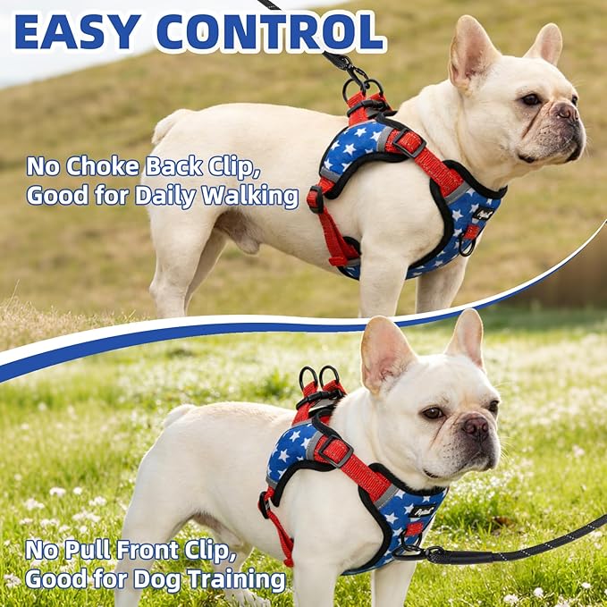 PUPTECK No Pull Dog Harness Small Sized Dog, Adjustable Reflective Escape Proof Easy Control, Comfortable Soft Padded Step in Pet Vest Harness, Blue Stars, M