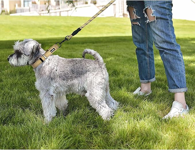 haapaw 2 Packs Martingale Dog Collar with Quick Release Buckle Reflective Dog Training Collars for Small Medium Large Dogs (Collar+Collar, M Neck 14"-16.5", Beige, 1+1 Packs)