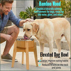 Elevated Dog Bowl for Mid-Large Breed, (12-Inch High) - Raised Food and Water Bowl with Stand, Flip-Resistant - Real Bamboo and Stainless Steel