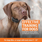 SportDOG Brand SportTrainer 575 Remote Trainer - Bright, Easy to Read OLED Screen - 500 Yard Range - Waterproof, Rechargeable Dog Training Collar with Tone, Vibration, and Static, Black