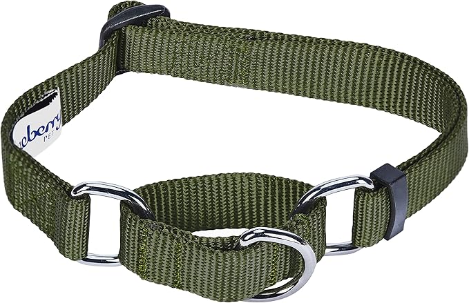 Blueberry Pet Essentials Martingale Safety Training Dog Collar, Military Green, X-Large, Heavy Duty Nylon Adjustable Collars for Dogs