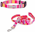 Lucky Love Dog - Easy Click Buckle Dog Collar with Leash Set Combo, Durable & Comfortable for Male & Female Dogs, Pet Collar for Medium Dogs, Secure Fit - Molly Combo, Medium