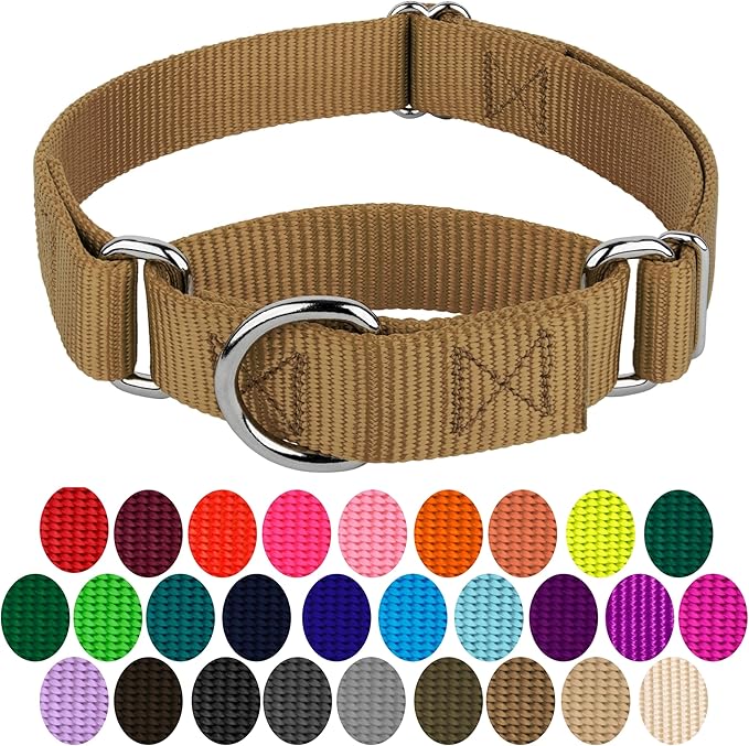 Country Brook Petz - Martingale Dog Collar - Heavy-Duty Training Collar with No Buckle - Service Dog Collar for All Pups - 10+ Warm Colors (Coyote Tan, 3/8 Inch, 3XS)