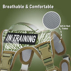 Light Dog Harness for Small Sized Dog Breeds, No Pull Pet Harness with 2 Leash Clips, Adjustable Soft Padded Dog Vest, Reflective Pet Oxford Vest, Puggle, Terriers, Beagle, Green Ethnic, Small
