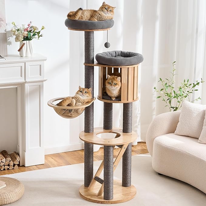 797Audio Wood Modern Cat Tree, 61.5" Tall Cat Tower with Sisal Scratching Posts, Cat Condo, Capsule and Ladder, Solid Wooden Aesthetic Multi-Level Cat Climbing Tree for Large Adult Indoor Cats-Gray