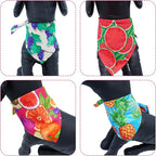 10PCS Dog Bandanas Summer Fruit for for Large Extral Large XL XXL Breed Pink Purple Yellow Blue Kerchief Triangle Bibs Head Scarves for Boys and Girls Grooming Costume