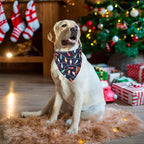 ADOGGYGO Christmas Dog Bandana, Snowman Xmas Pet Scarf, Premium Durable Fabric, Christmas Bandanas for Extra Large Dogs Pets (X-Large)