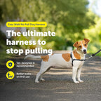 PetSafe Easy Walk Harness for Dogs - Pull-Free Walks - Patented Martingale Loop Design - Front Chest Leash Attachment - Comfort Straps - Breathable Harness Design - Small, Charcoal/Black