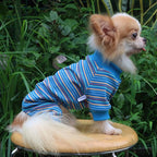 LOPHIPETS Dog Pajama Onesie for Small Chihuahua Yorkie Poodle Clothes Apparel-Blue/M