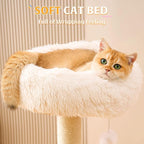 HITTITE Solid Wood Cat Tree Tower with Scratching Post, 37.8 Inches Tall Cat Towers with Scratching Board and Scratcher Ball, Modern Cat Tower With Space Capsule and Removable Top Bed for Indoor Cats.