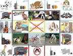 1100 Yard Remote Dog Training Shock Collar with Auto Anti Bark & Waterproof Collar (1-Dog Kit)