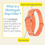 Country Brook Petz - Martingale Dog Collar - Heavy-Duty Training Collar with No Buckle - Service Dog Collar for All Pups - 10+ Warm Colors (Mango, 1 Inch, Extra Large)