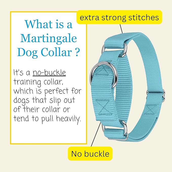 Country Brook Petz - Martingale Dog Collar - Heavy-Duty Training Collar with No Buckle - Service Dog Collar for All Pups - 10+ Cool Colors (Ocean Blue, 3/8 Inch, 2XS)
