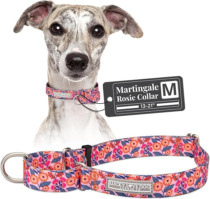 Lucky Love Dog Martingale Dog Collar - Adjustable, No-Slip, Durable, & Soft Webbing Collar for Male and Female Dogs Ideal for Training & Walking - Rosie, Medium
